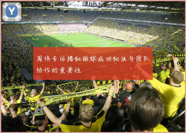 周伟专访揭秘排球成功秘诀与团队协作的重要性